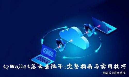 tpWallet怎么查池子：完整指南与实用技巧