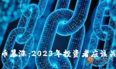 加密货币暴涨：2023年投资