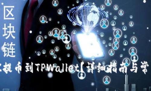 如何将BZZ提币到TPWallet？详细指南与常见问题解答