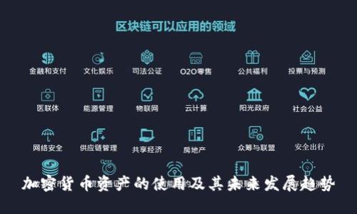 加密货币资产的使用及其未来发展趋势