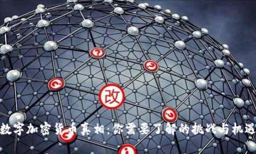 数字加密货币真相：你需要了解的挑战与机遇