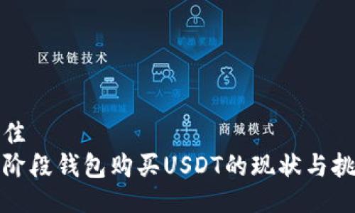 最佳
现阶段钱包购买USDT的现状与挑战