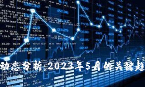 加密货币市场动态分析：2023年5月的关键趋势与投资机会