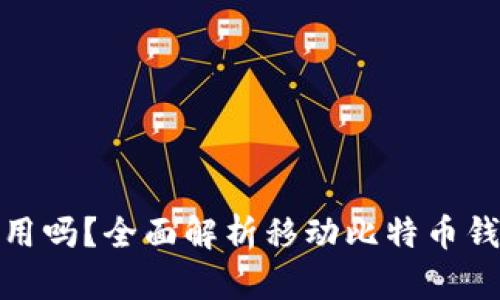 比特币钱包在手机上能用吗？全面解析移动比特币钱包的安全性与使用体验