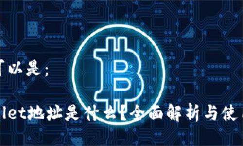 且的可以是：

tpWallet地址是什么？全面解析与使用指南