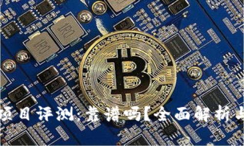 tpWallet项目评测：靠谱吗？全面解析与投资建议