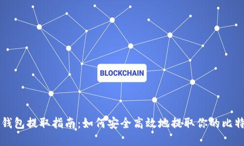 比特币钱包提取指南：如何安全高效地提取你的比特币资产
