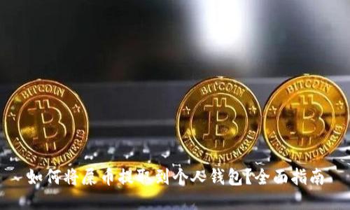 如何将屎币提取到个人钱包？全面指南