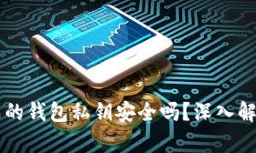 tpWallet生成的钱包私钥安全吗？深入解析与安全实践