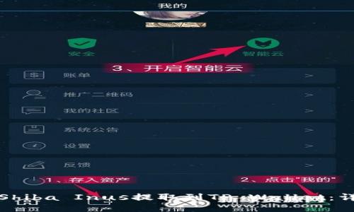 如何将Shiba Inus提取到TP Wallet：详细指南