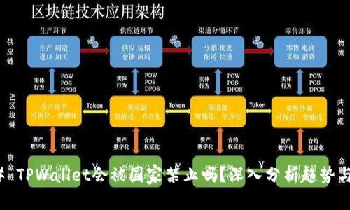 ### TPWallet会被国家禁止吗？深入分析趋势与风险