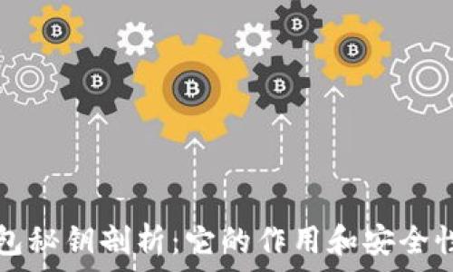   
比特币钱包秘钥剖析：它的作用和安全性完全指南