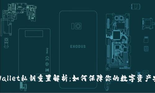 tpWallet私钥重置解析：如何保障你的数字资产安全