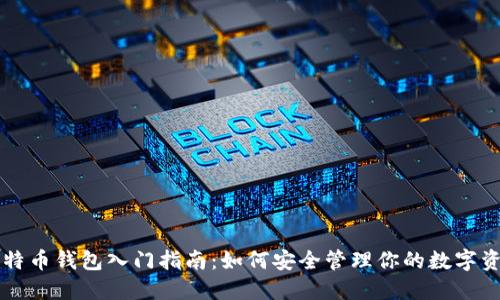 比特币钱包入门指南：如何安全管理你的数字资产