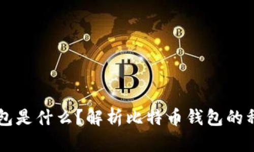 比特币钱包是什么？解析比特币钱包的种类与使用