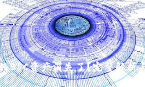 TP钱包中的BSC资产消失了？完整解析与解决方案
