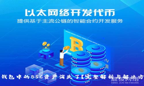 TP钱包中的BSC资产消失了？完整解析与解决方案
