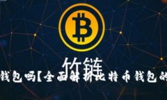 比特币必须有钱包吗？全