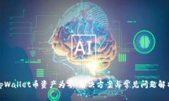tpWallet币资产为零：解决方