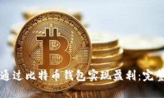 如何通过比特币钱包实现