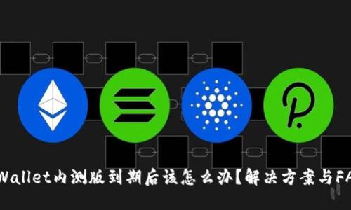 TPWallet内测版到期后该怎么办？解决方案与FAQs