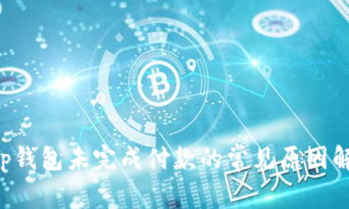 App钱包未完成付款的常见原因解析