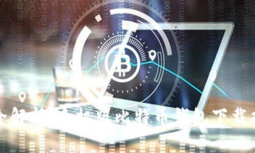 最全解析：手机版比特币钱包下载指南