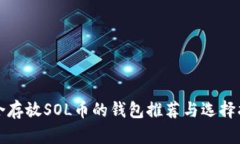 适合存放SOL币的钱包推荐
