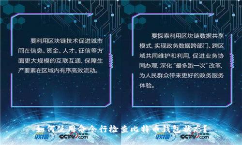 如何使用命令行检查比特币钱包状态？