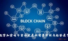 数字加密电子货币发展的