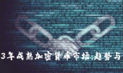 2023年成熟加密货币市场：