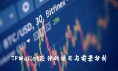 TPWallet延伸的项目与前景分