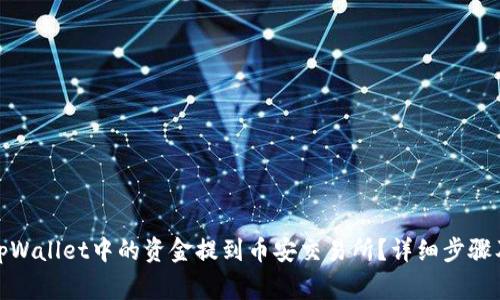 : 如何将tpWallet中的资金提到币安交易所？详细步骤及注意事项
