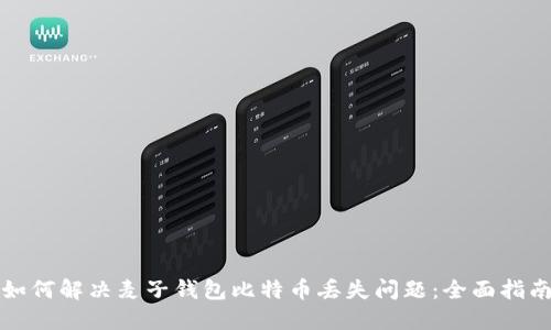 如何解决麦子钱包比特币丢失问题：全面指南