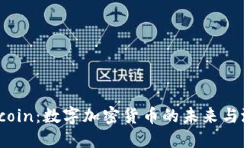 Viccoin：数字加密货币的未来与潜力