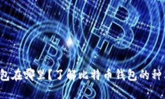一般存比特币的钱包在哪