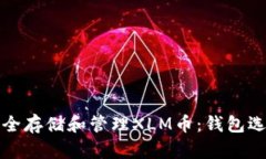 如何安全存储和管理XLM币