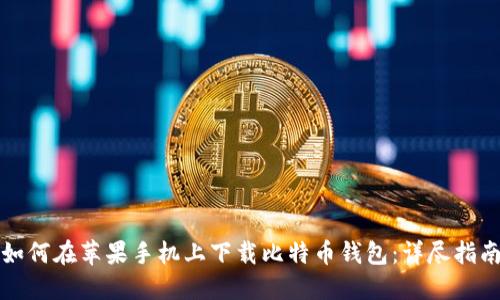如何在苹果手机上下载比特币钱包：详尽指南