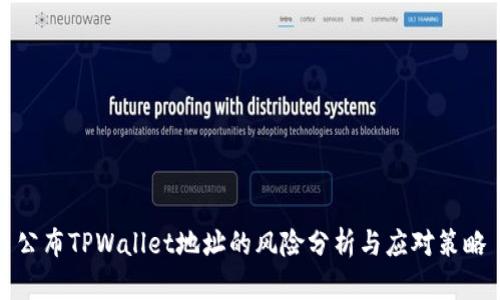 公布TPWallet地址的风险分析与应对策略