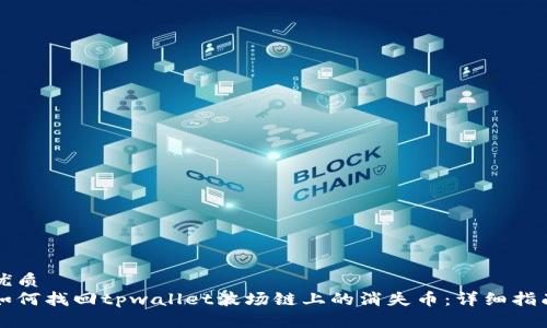 优质  
如何找回tpwallet波场链上的消失币：详细指南