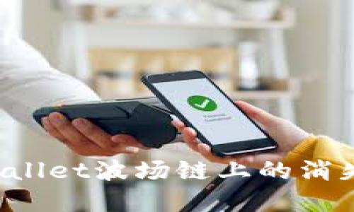 优质  
如何找回tpwallet波场链上的消失币：详细指南