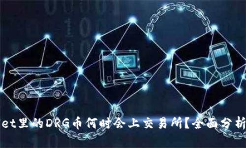 tpWallet里的DRG币何时会上交易所？全面分析与展望