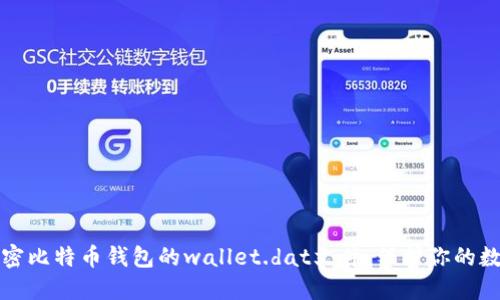 如何解密比特币钱包的wallet.dat文件，保护你的数字资产