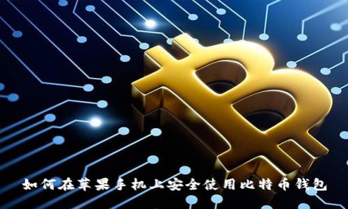 如何在苹果手机上安全使用比特币钱包