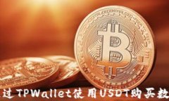 如何通过TPWallet使用USDT购