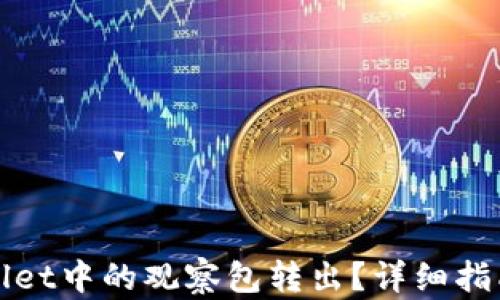 
如何将tpWallet中的观察包转出？详细指南与最新技巧
