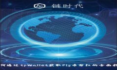 如何通过tpWallet获取Pig币分