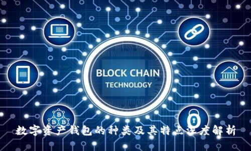 数字资产钱包的种类及其特点深度解析