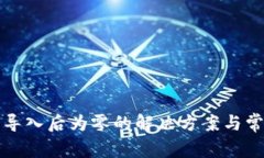 TP钱包资产导入后为零的解