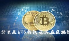 完全解析：什么是bTS钱包